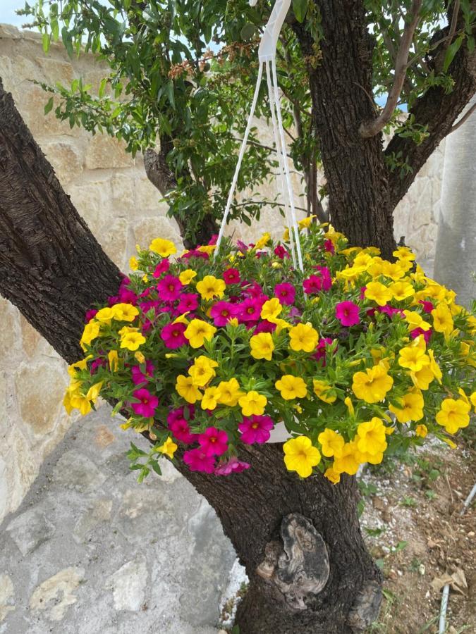 Iris Holiday Home Trbounje Bagian luar foto